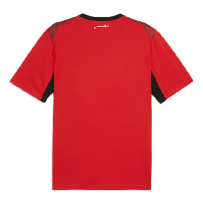 2026-2027 Egypt Home Shirt (M.Elneny 17)-SoccerKits Hub | Buy Soccer Jerseys Online